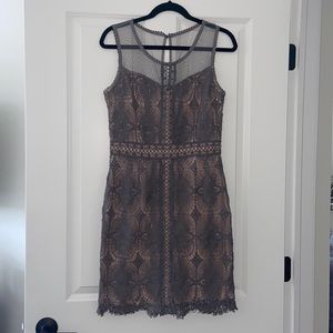 Women’s Dress
